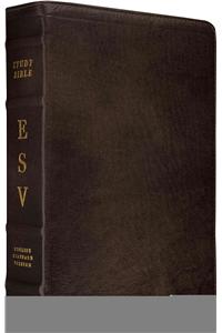 Study Bible-ESV