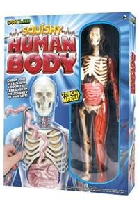 Squishy Human Body: The Human Body