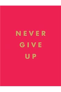 Never Give Up