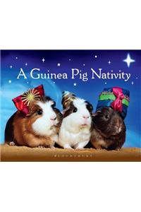 A Guinea Pig Nativity