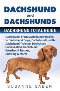 Dachshund And Dachshunds