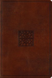 Study Bible-ESV-Celtic Imprint Design