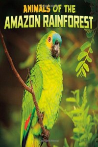 Animals of the Amazon Rainforest