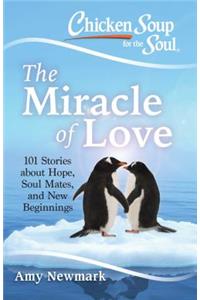 Chicken Soup for the Soul: The Miracle of Love