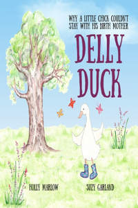 Delly Duck: Why A Little Chick Couldn't Stay With His Birth Mother: A foster care and adoption story book for children, to explain adoption or support therapeut