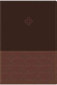 Amplified Study Bible, Imitation Leather, Brown