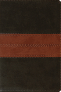 ESV Personal Reference Bible (Trutone, Deep Brown/Tan, Trail Design)