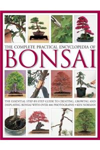 Complete Practical Encyclopedia of Bonsai