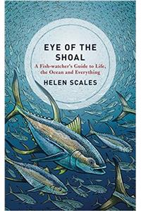 Eye of the Shoal