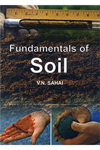 Fundamentals of Soil