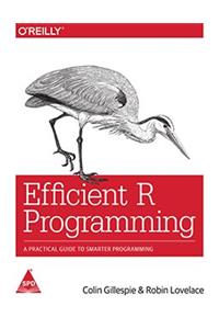 Efficient R Programming: A Practical Guide to Smarter Programming