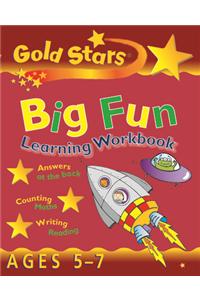 Gold Stars Big Fun Learning Workbook