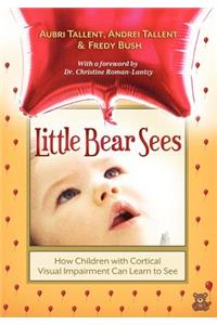 Little Bear Sees