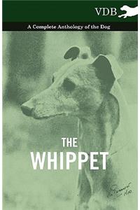 Whippet - A Complete Anthology of the Dog