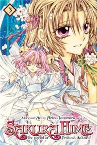 Sakura Hime: The Legend of Princess Sakura, Vol. 3: The Legend of Princess Sakura 3