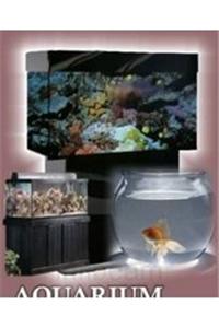 Aquarium Management