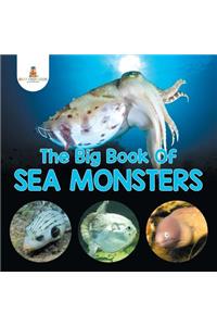 Big Book Of Sea Monsters (Scary Looking Sea Animals)