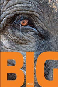 Big: A Photographic Album of the World's Largest Animals