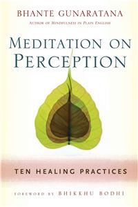 Meditation on Perception