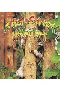 Rainforest Habitats