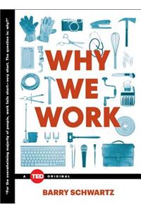 Why We Work