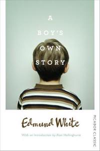 A Boy's Own Story