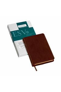 Pitt Minion Reference Bible-ESV