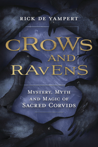 Crows and Ravens