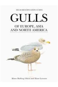 Gulls of Europe, Asia and North America