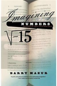 Imagining Numbers