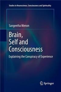 Brain, Self and Consciousness: Explaining the Conspiracy of Experience