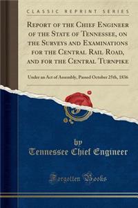 Report of the Chief Engineer of the State of Tennessee, on the Surveys and Examinations for the Central Rail Road, and for the Central Turnpike: Under an Act of Assembly, Passed October 25th, 1836 (Classic Reprint)