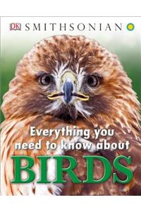 Everything You Need to Know about Birds