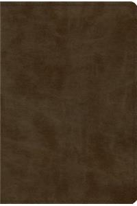 ESV Devotional Psalter (Trutone, Olive)