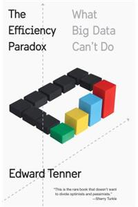 Efficiency Paradox: What Big Data Can't Do