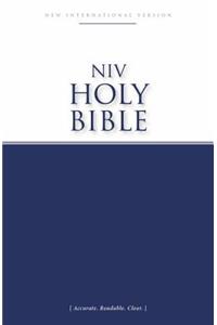 Economy Bible-NIV