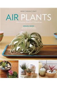 Air Plants