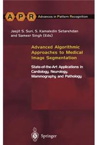 Advanced Algorithmic Approaches to Medical Image Segmentation