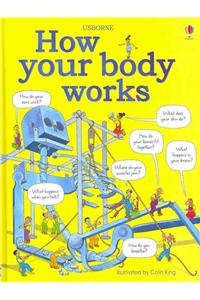 How your body works