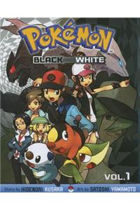 Pokemon Black & White