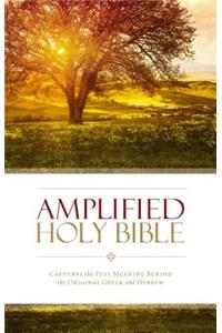 Amplified Holy Bible, Paperback