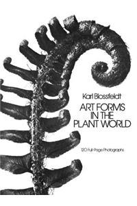 Art Forms in the Plant World