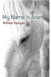 My Name is ARAM