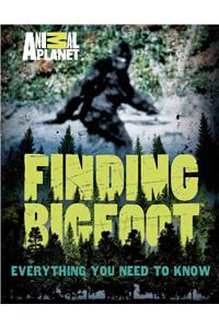 Finding Bigfoot: Everything You Need to Know