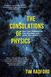 The Consolations of Physics