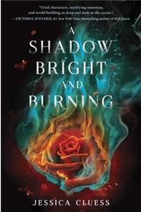 A Shadow Bright and Burning (Kingdom on Fire, Book One)