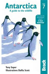 Antarctica: A Guide to the Wildlife