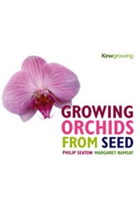 Growing Orchids from Seed