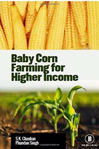 Baby Corn Farming for Higher Income