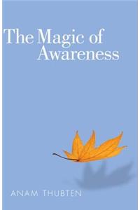 Magic of Awareness